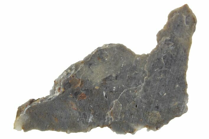 Lunar Meteorite Slice ( g) - NWA #360334